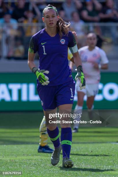 Christiane Endler of Chile in goals during the International friendly match between the Australian Matildas and Chile at Bankwest Stadium on November...