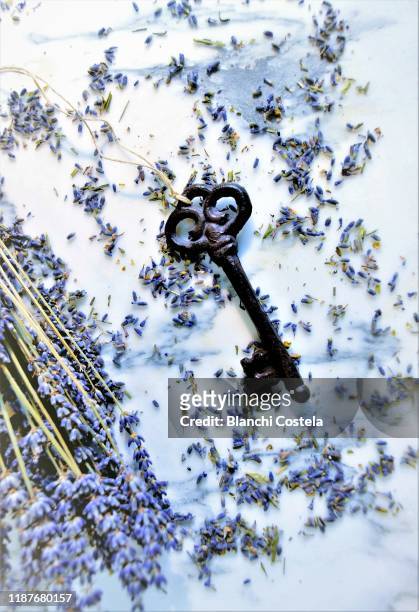 old iron key on a background of lavender blossom petals - ornate key stock pictures, royalty-free photos & images