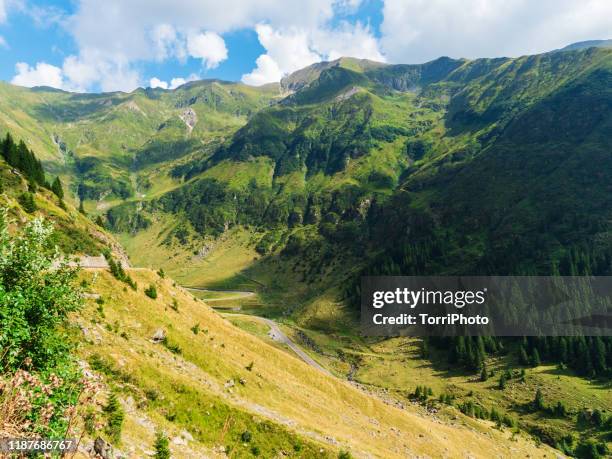 summer mountains landscape of romanian carpathians - alps romania stock pictures, royalty-free photos & images