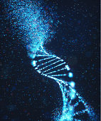 Oxidative DNA Damage Genetic Disorder Molecular Structure