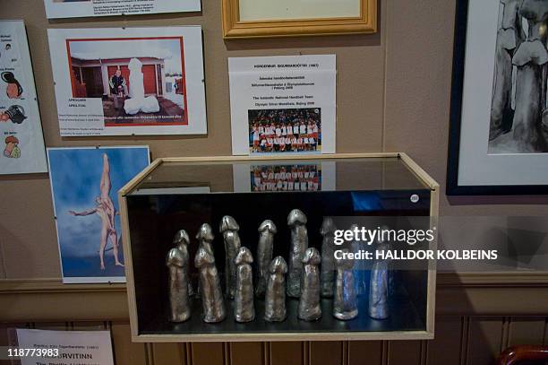 Nina LARSON Penis statuettes stand erect in a display case in Iceland's Phallological Museum on June 28, 2011 in Husavik. From gigantic whale penises...
