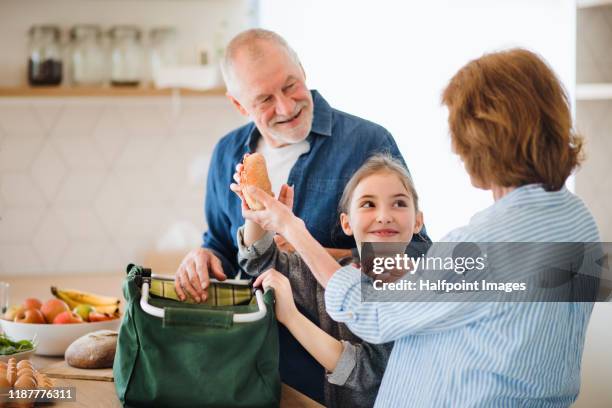 senior grandparents and granddaughter unpacking shoping indoors in kitchen. - granny flat stock pictures, royalty-free photos & images