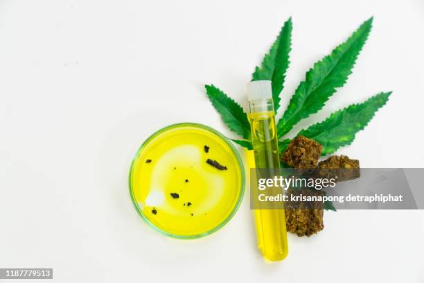 cannabis herb research,marijuana, hemp oil research - cannabis oil fotografías e imágenes de stock