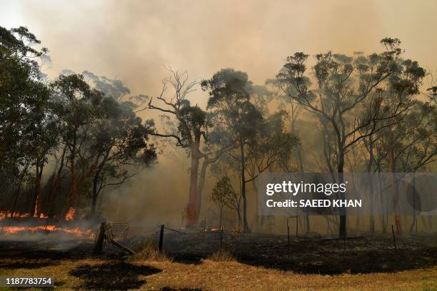 This photo taken on December 10, 2019 shows firefighters conducting back-burning measures to secure residential areas from encroaching bushfires in...