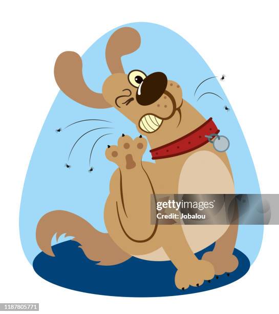 scratching fleas cute dog cartoon - fles stock illustrations