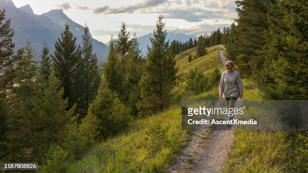 donna matura cammina lungo il sentiero al mattino - walking foto e immagini stock