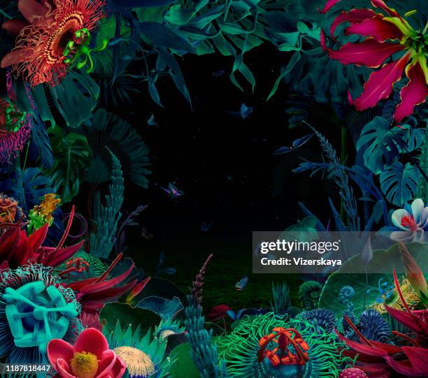 jardín tropical de noche de hadas - fantasía fotografías e imágenes de stock