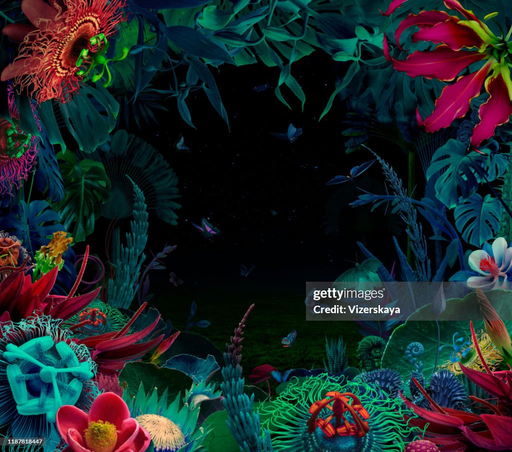 Fairy night tropical garden
