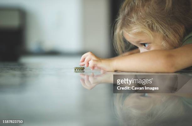 surface level of curious girl looking at caterpillar on floor - neugierde stock-fotos und bilder