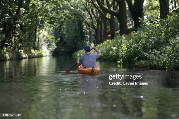 a man paddling a kayak under the shade of trees during summer - canal trees stockfoto's en -beelden