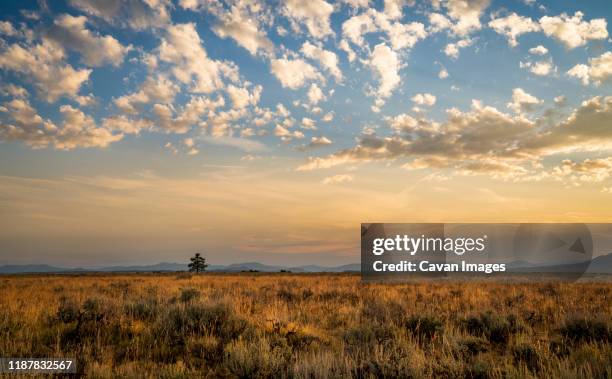 grand teton mountain at sunrise golden hour - grand teton stock-fotos und bilder