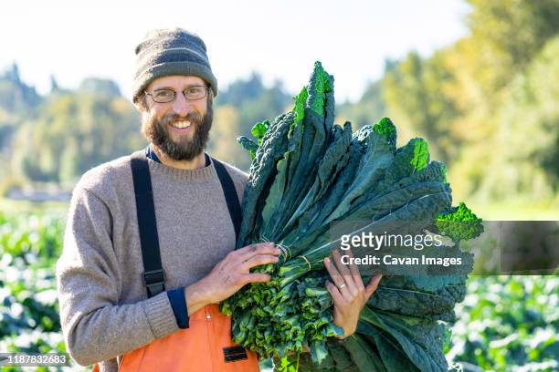 proud farmer with a huge bunch of organic kale fall day harvest - kale bunch stock pictures, royalty-free photos & images