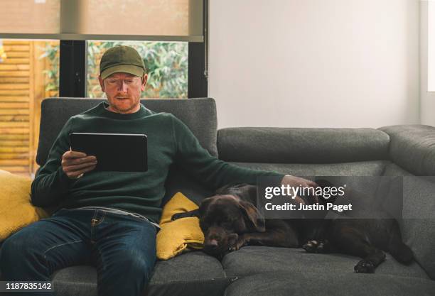 man on sofa with pet dog - one animal stock pictures, royalty-free photos & images