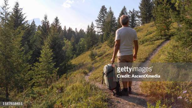 male hiker walks along forested footpath - intersection stock pictures, royalty-free photos & images