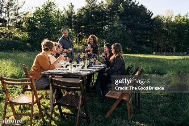 friends sharing a toast at outdoor dinner party - rustic foto e immagini stock