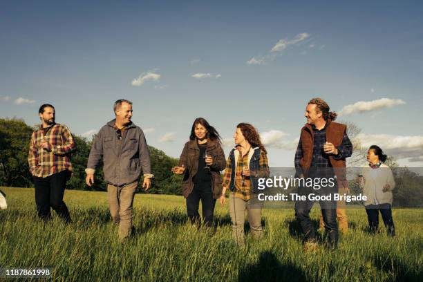 friends walking through grassy field on sunny day - adults walking stockfoto's en -beelden