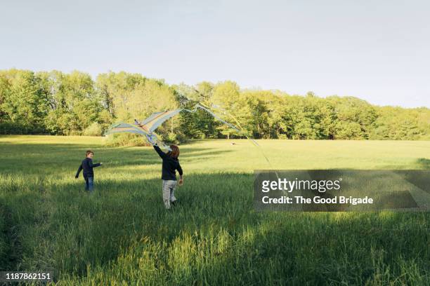 young boys flying kite in grassy field - people flying kites stockfoto's en -beelden