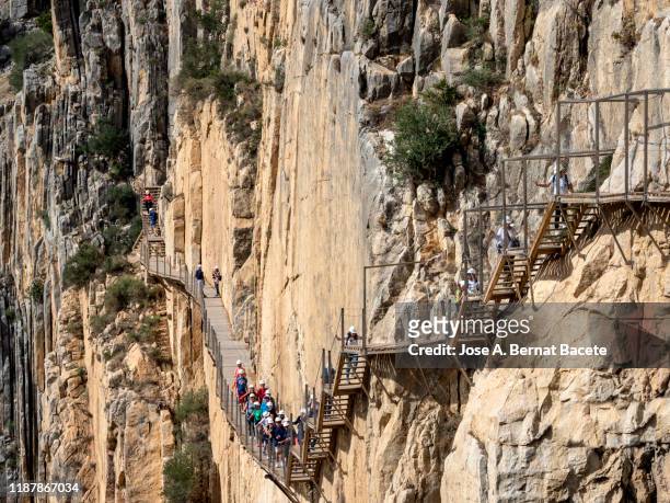 walkway and wooden bridges pinned along the steep walls of a narrow gorge in the nature. caminito del rey (the king walkway), malaga, andalusia, spain. - caminito del rey málaga province stock pictures, royalty-free photos & images