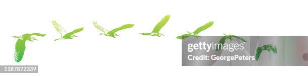 sequential series vector of a great blue heron flying - great blue heron stock illustrations