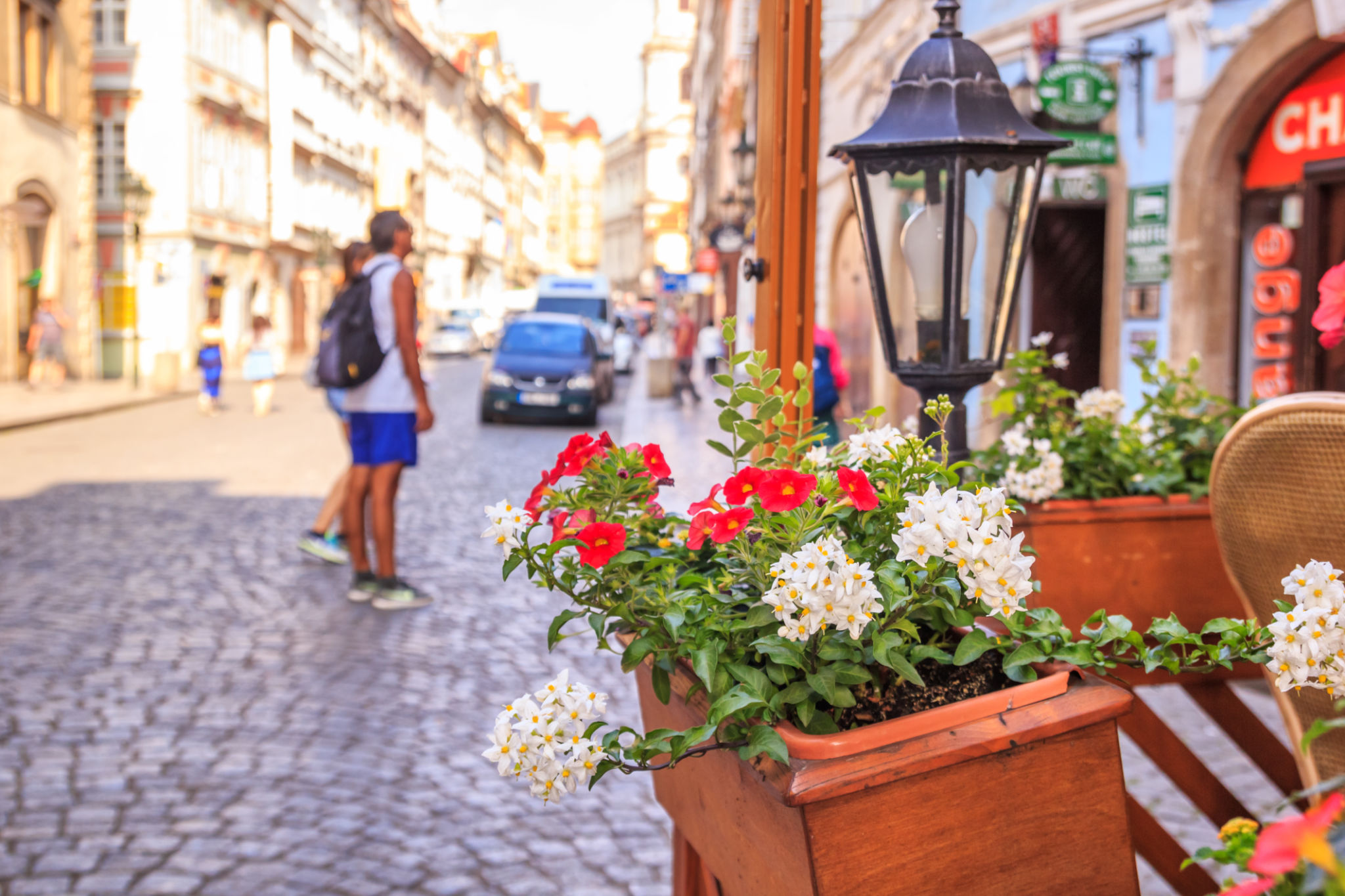 local flowers prague