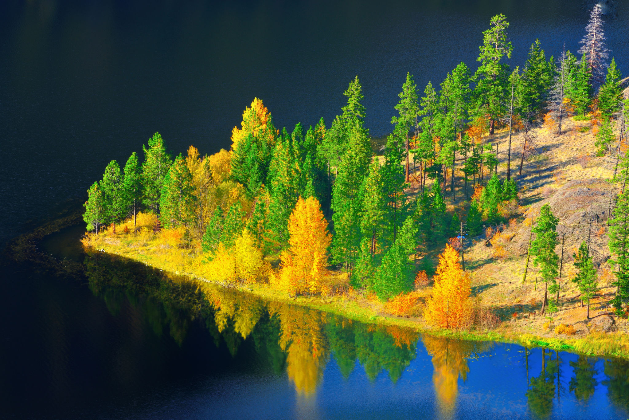 central okanagan