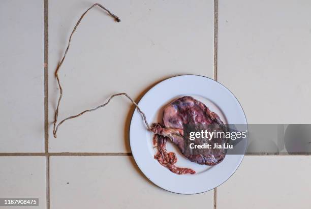 Cooked Human Placenta