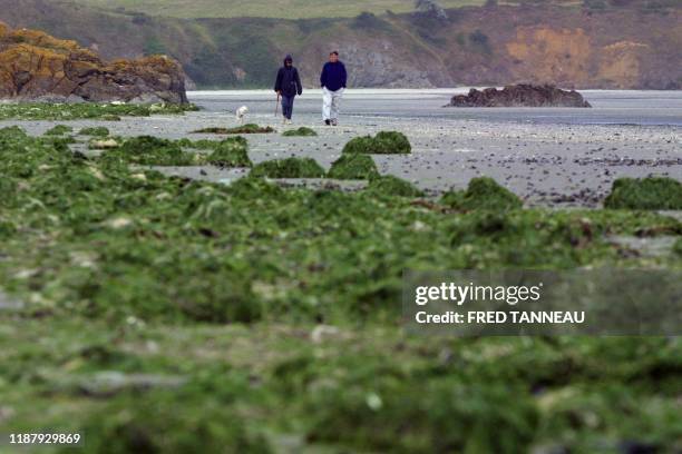 Des marcheurs participent à une randonnée pédestre de sensibilisation aux problèmes de pollution, le 16 septembre 2001 sur la plage de la Granville à...