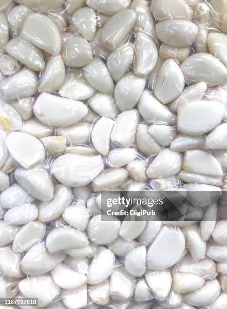 vacuum packed garlic cloves - vacuum packed stock pictures, royalty-free photos & images