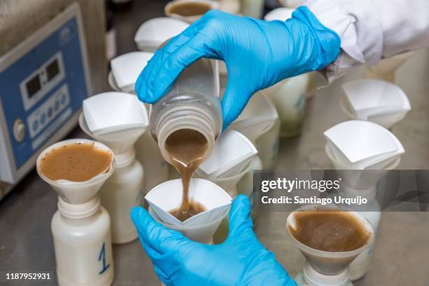 scientist filling up containers to measure contaminants in soil - soil sample stock pictures, royalty-free photos & images