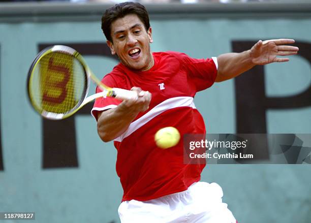 Guillermo Canas attacks the ball. Guillermo Canas defeated Paul-Henri Mathieu 6-3, 7-6, 2-6, 6-7, 8-6 in the third round of the 2005 French Open at...