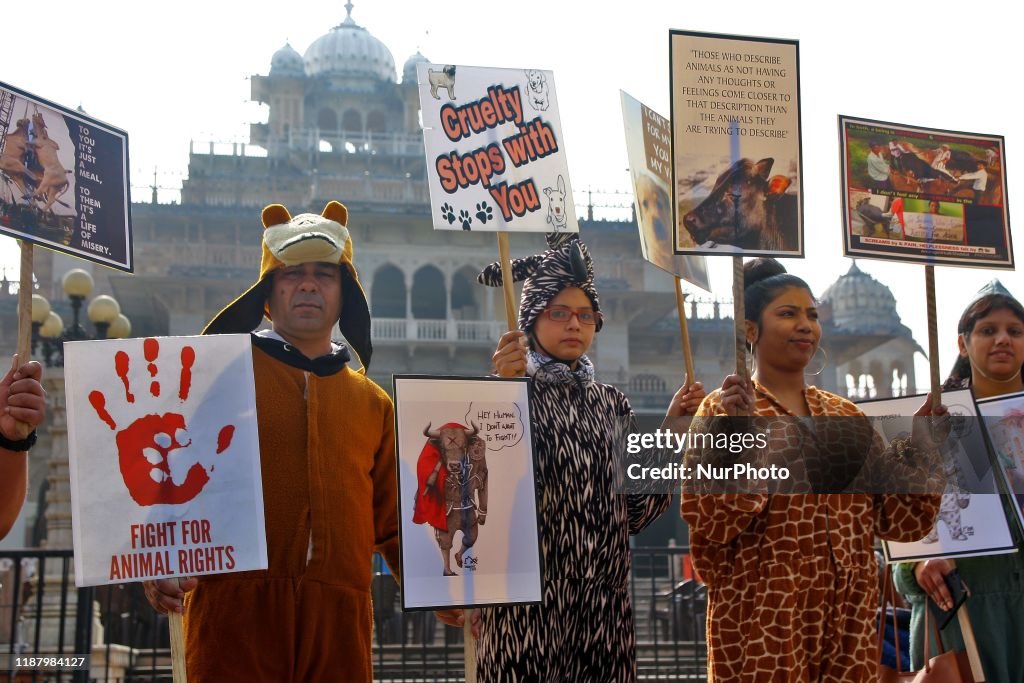 Arth foundation members dress up as animals and hold a placards as... News  Photo - Getty Images