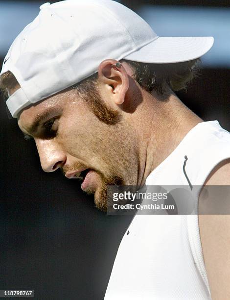 Twenty Seventh seed, Robby Ginepri scores an upset at the Wimbledon Championships with a 6-3, 6-4, 6-1 win over 6th seed Juan Carlos Ferrero