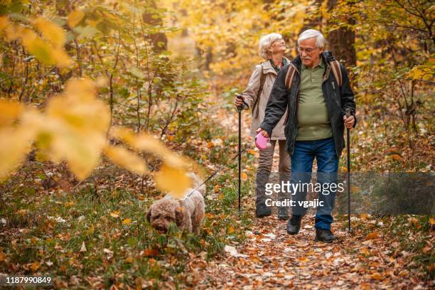 senior paar op zoek naar truffels - discovery bags walking stockfoto's en -beelden