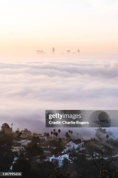 sunrise and fog over the hollywood hills, la - hollywood hills los angeles bildbanksfoton och bilder