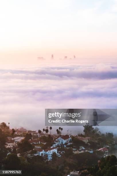 sunrise and fog over the hollywood hills, la - hollywood hills foto e immagini stock