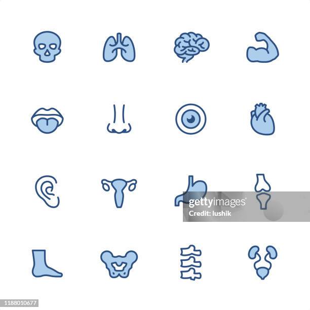 menschliche anatomie - pixel perfekte blaue umriss-symbole - human foot stock-grafiken, -clipart, -cartoons und -symbole