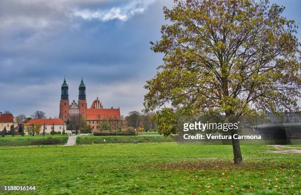 cathedral of poznań, poland - poznań stock pictures, royalty-free photos & images