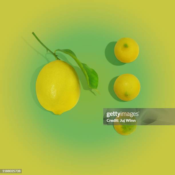 1,129 Big Lemon Stock Photos, HighRes Pictures, and Images Getty Images