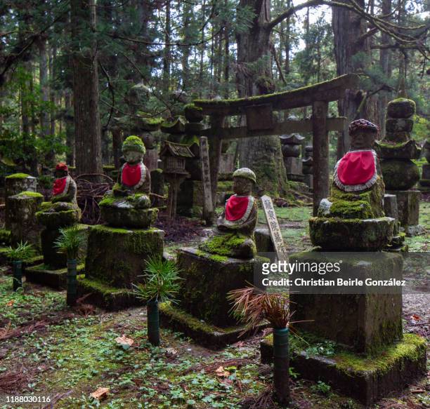 okunoin cemetery in koyasan - evergreen cemetery stock pictures, royalty-free photos & images
