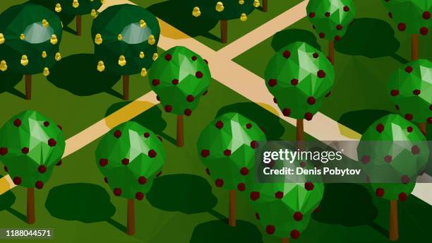 low poly landscape in isometric view - orchard. apple trees, pear trees and paths. - pear tree stock illustrations