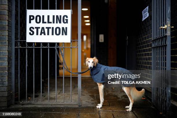 Dog, wearing a raincoat, waits for its owner to return outside a polling station in north London, as Britain holds a general election on December 12,...