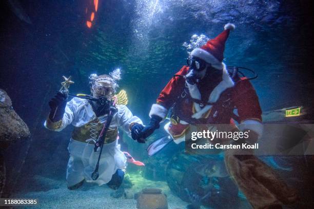 Divers dressed as Santa Claus and an angel feed fish at the Sea Life Berlin aquarium on December 12, 2019 in Berlin, Germany. The aquarium contains...