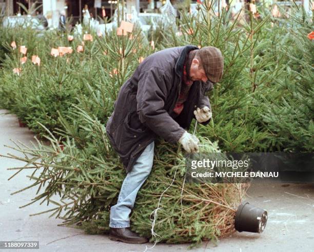 Un fleuriste prépare le 07 décembre, sur son étalage place St Pierre à Caen, un épicéa, ou sapin de Noël, dont la vente commence dès maintenant pour...