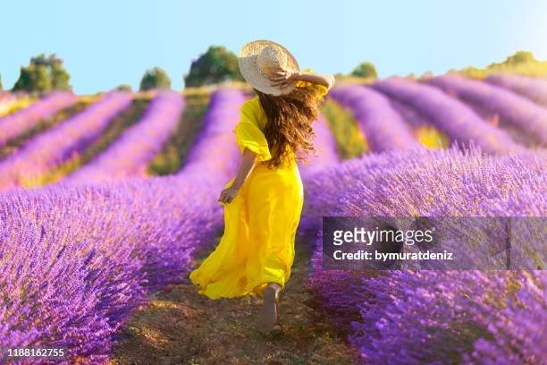 woman running on lavender field - yellow dress stock pictures, royalty-free photos & images
