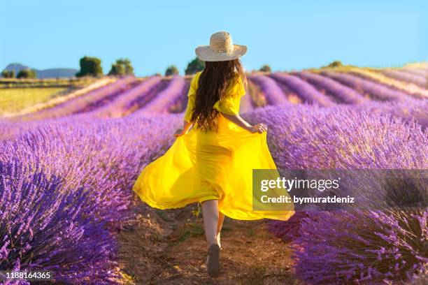 frau läuft auf lavendelfeld - yellow dress stock-fotos und bilder