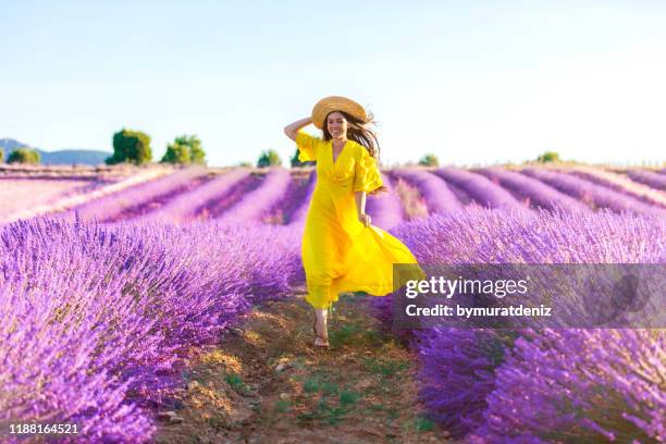 frau läuft auf einem lavendelfeld - woman summer dress stock-fotos und bilder