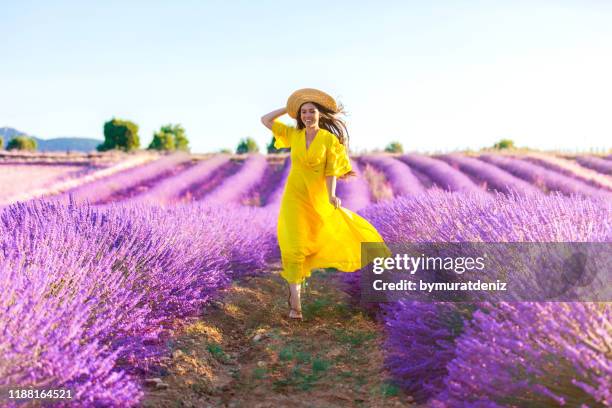 donna che corre su un campo di lavanda - vestito giallo foto e immagini stock