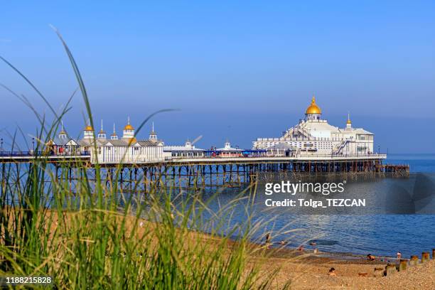 uitzicht vanaf het strand van de pier. eastbourne-uk - eastbourne pier stockfoto's en -beelden