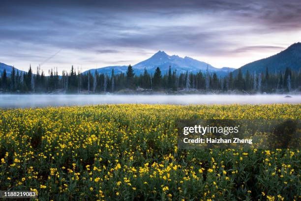 sparks lake sunrise - three sisters volcano stock pictures, royalty-free photos & images