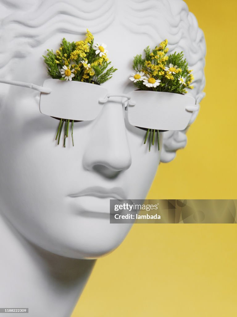 Floral collage with Greek Goddess wearing sunglasses